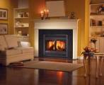 wood burning stove fireplace insert.