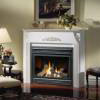 napoleon gas fireplace insert.