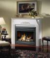 napoleon gas fireplace insert.